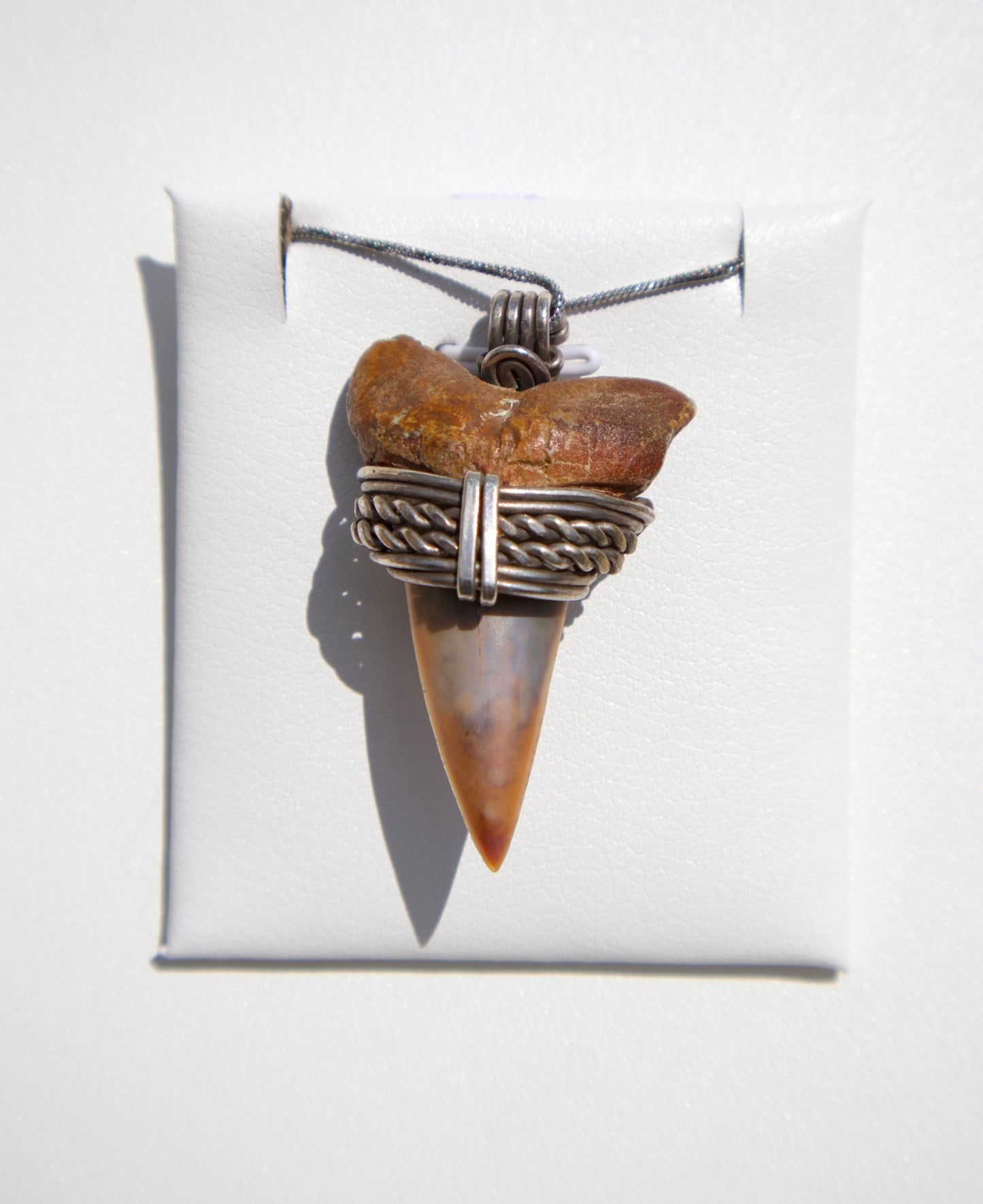 Peruvian Shark Tooth Wirewrapped
