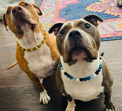 Rainbow Beaded Pet Necklace