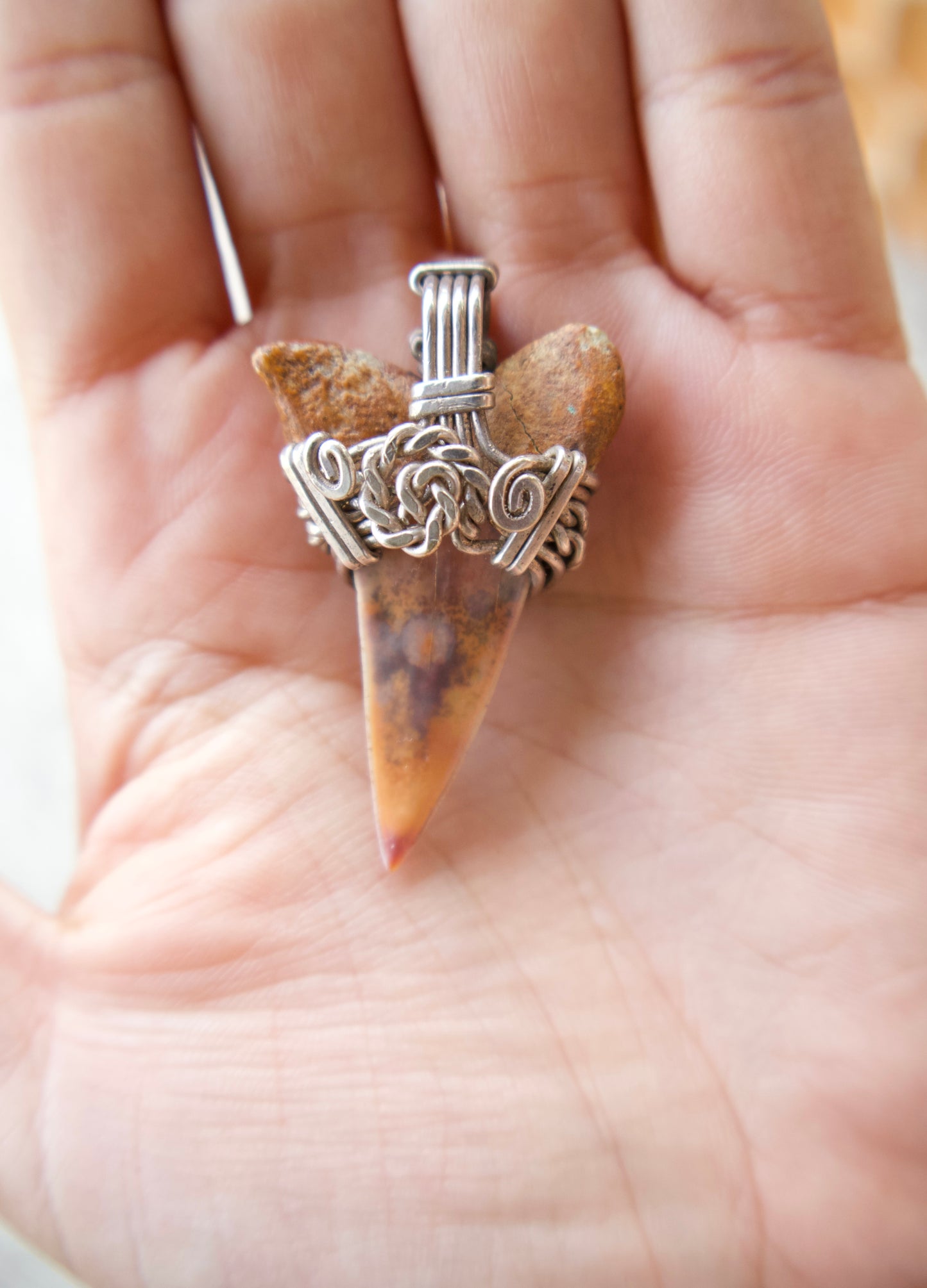 Peruvian Shark Tooth Wirewrapped