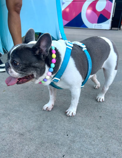 Rainbow Beaded Pet Necklace