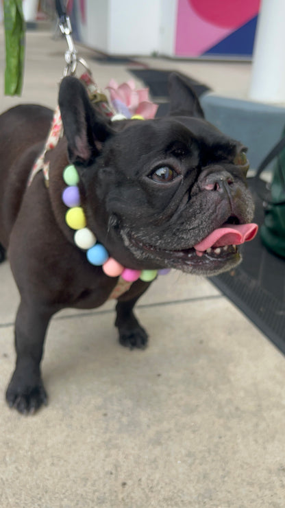 Green Ombré Beaded Pet Necklace