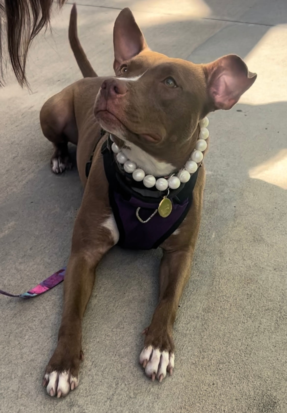 Purple/Pink Ombré Necklace