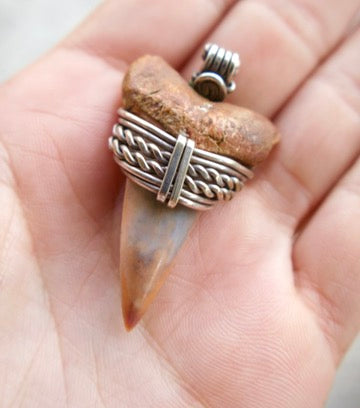 Peruvian Shark Tooth Wirewrapped