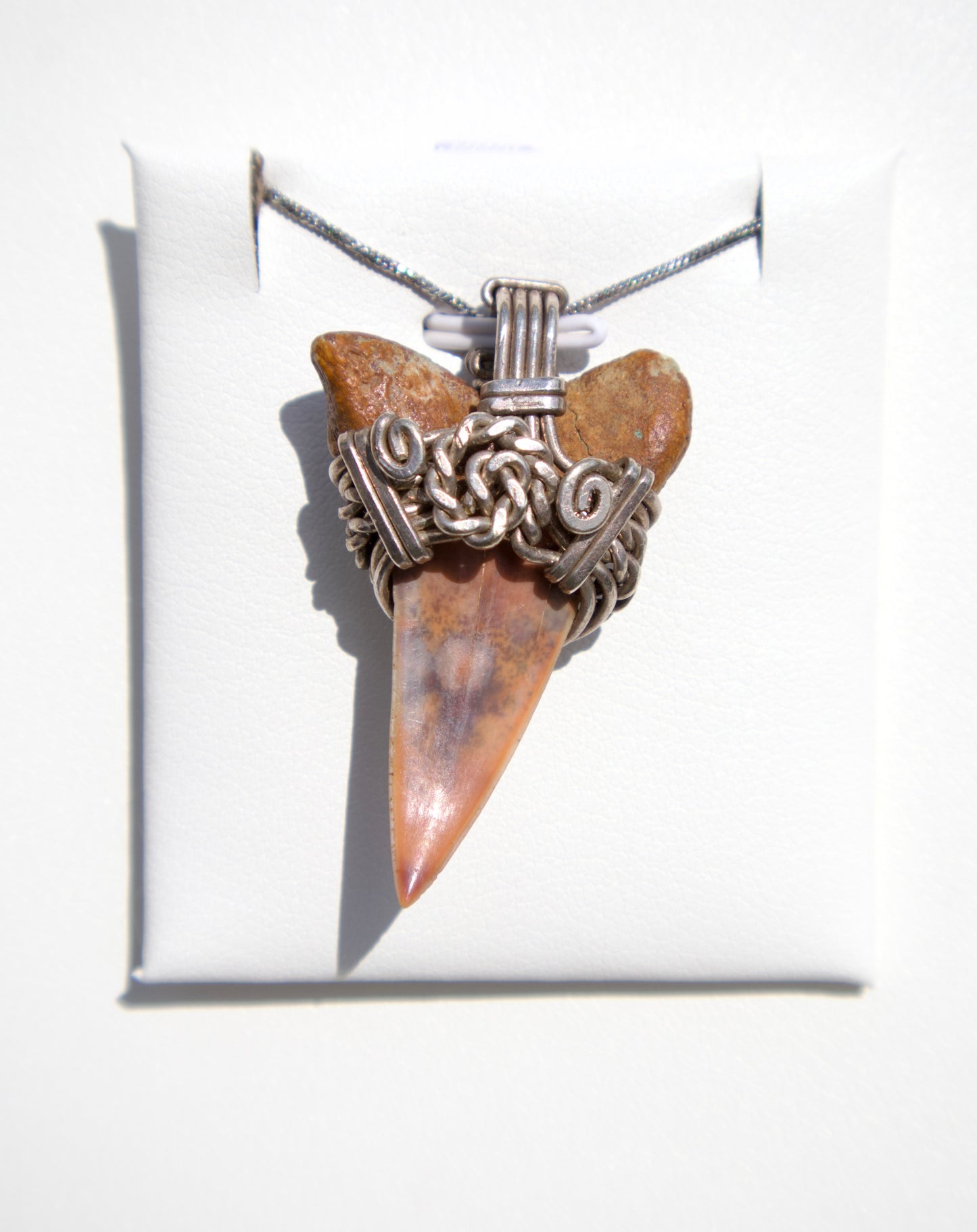 Peruvian Shark Tooth Wirewrapped